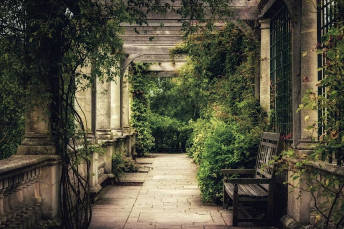 Potatura alberi, siepi e cespugli