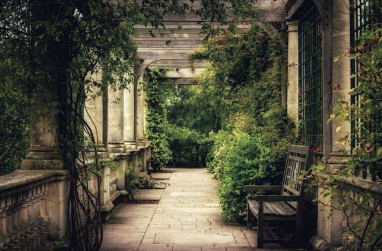 Potatura alberi, siepi e cespugli