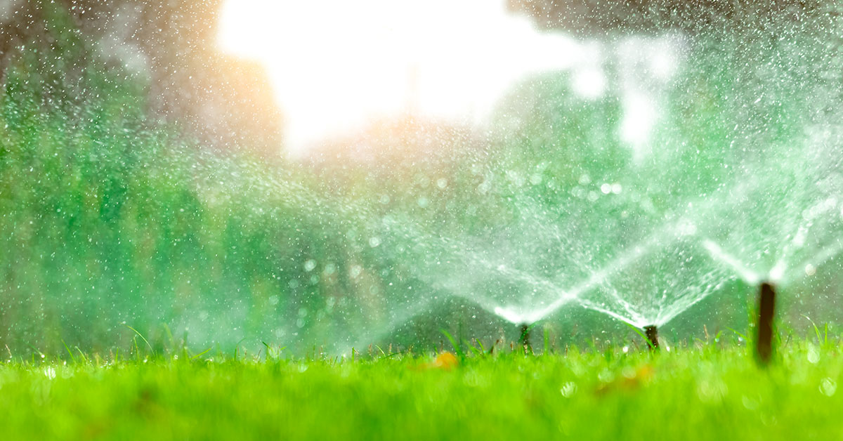 Interventi del giardino a Agosto