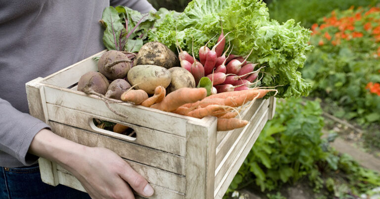 Interventi del giardino a Giugno