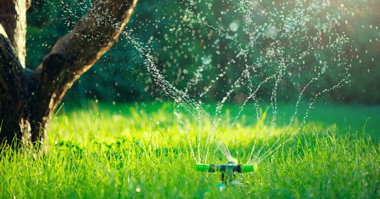 Interventi del giardino a Luglio