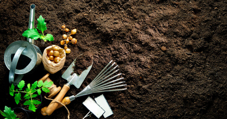 Interventi del giardino a Maggio